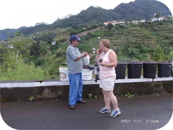 2002 09 27 denise sykes madeira 2002 083 jpg