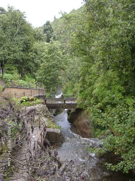2002 09 27 madeira 2002 walking 068 jpg