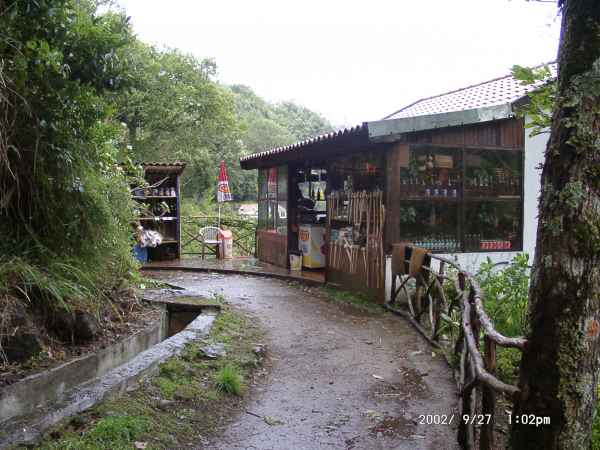 2002 09 27 madeira 2002 walking 079 jpg