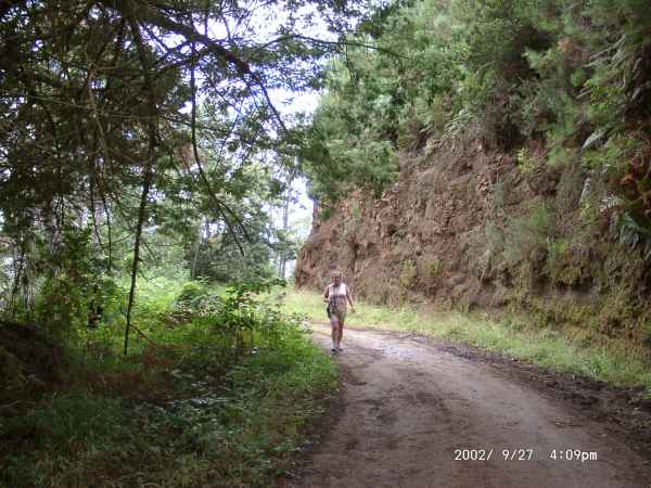 2002 09 27 madeira 2002 walking 093 jpg