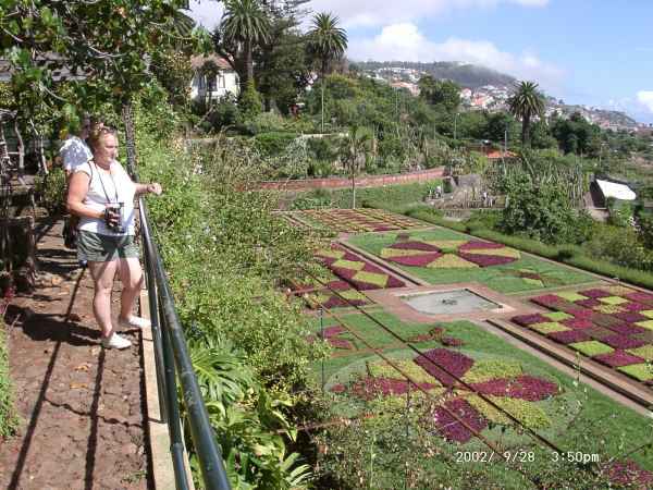 2002 09 28 denise sykes madeira 2002 116 jpg