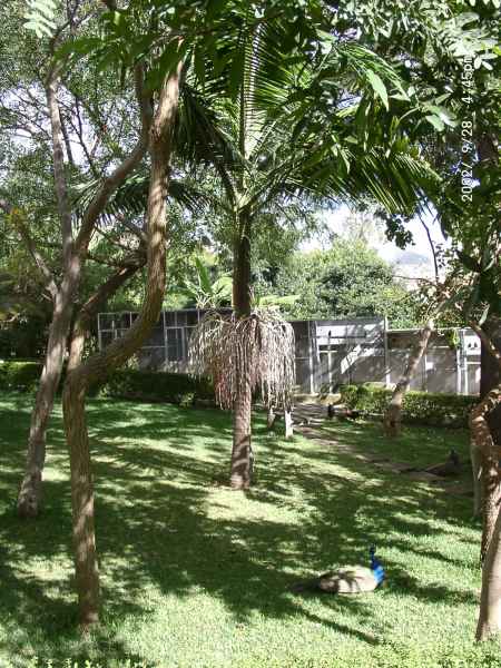 2002 09 28 madeira 2002 121 jpg