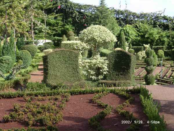 2002 09 28 madeira 2002 122 jpg