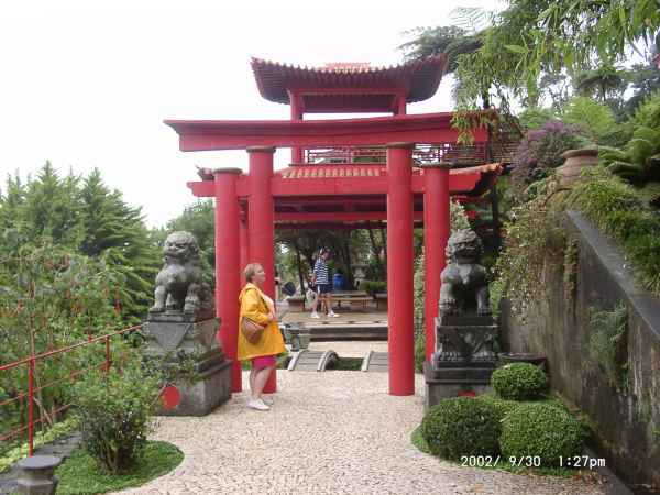 2002 09 30 denise sykes funchal madeira 2002 138 jpg