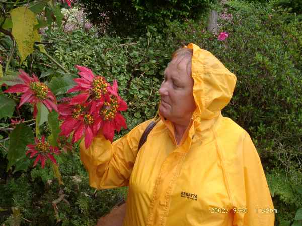 2002 09 30 denise sykes funchal madeira 2002 142 jpg