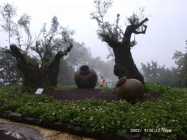 2002 09 30 funchal madeira 2002 134 jpg