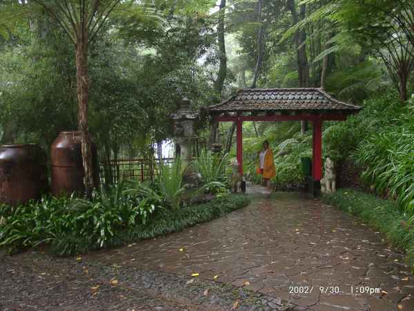 2002 09 30 funchal madeira 2002 135 jpg