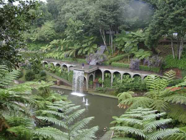 2002 09 30 funchal madeira 2002 137 jpg