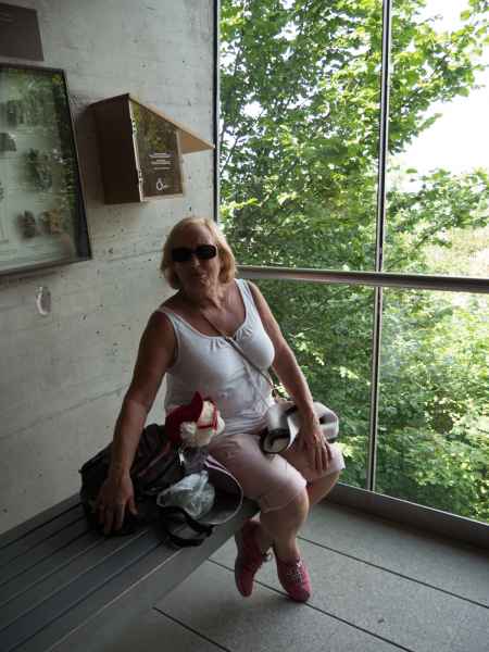 2017 06 23 ccc alpine tour denise sykes europe 2017 alpine ljubljana motorhome 056 jpg