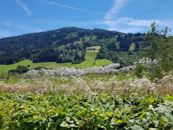 2017 06 11 ccc alpine tour europe 2017 alpine motorhome swarovski wattens 042 jpg