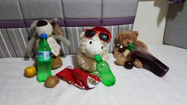 2017 06 28 bled ccc alpine tour estersheep europe 2017 alpine motorhome 037 jpg