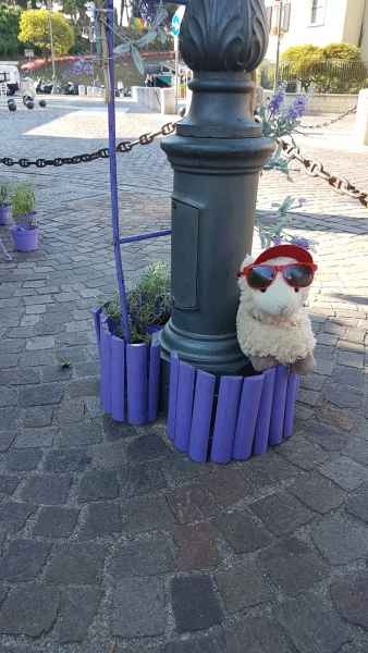 2017 07 05 estersheep europe 2017 alpine garda motorhome post ccc tour 025 jpg