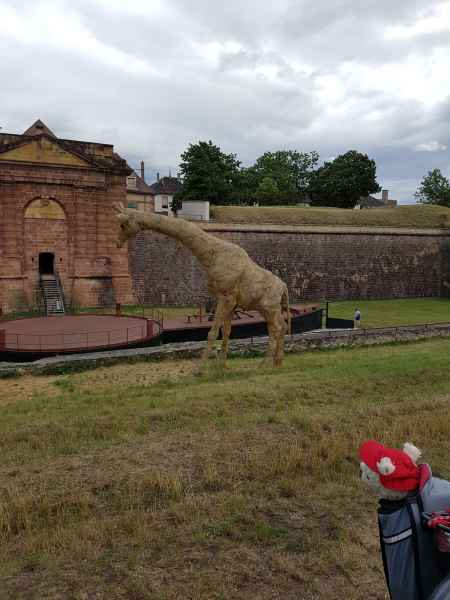 2017 07 12 estersheep europe 2017 alpine motorhome neuf brisach post ccc tour 052 jpg