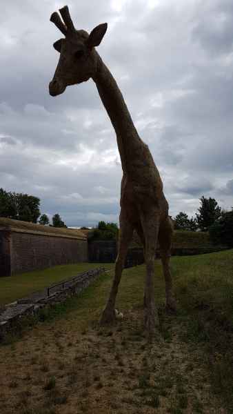 2017 07 12 estersheep europe 2017 alpine motorhome neuf brisach post ccc tour 053 jpg