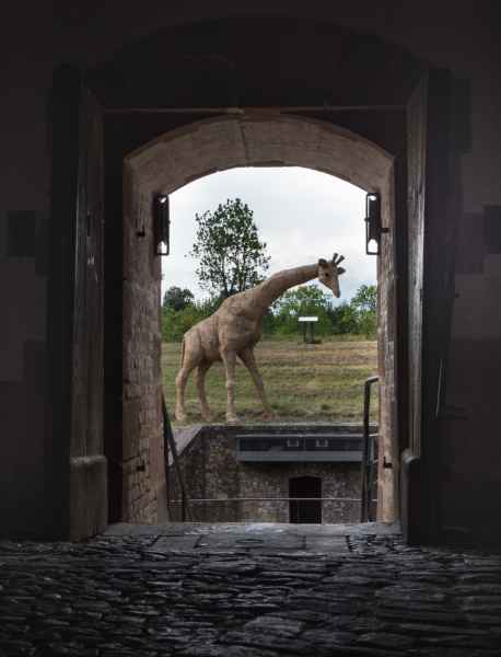 2017 07 12 europe 2017 alpine motorhome neuf brisach post ccc tour 048 jpg