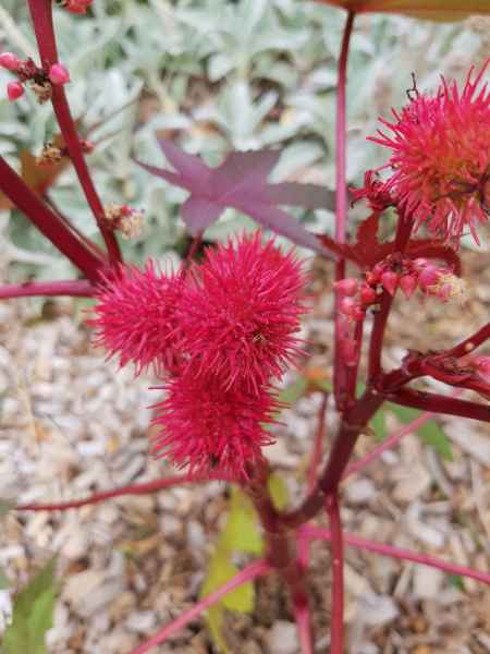 2017 07 13 europe 2017 alpine millery motorhome post ccc tour 062 jpg