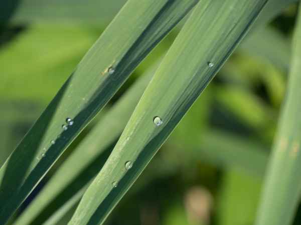 2017 07 14 europe 2017 alpine millery motorhome post ccc tour 075 jpg