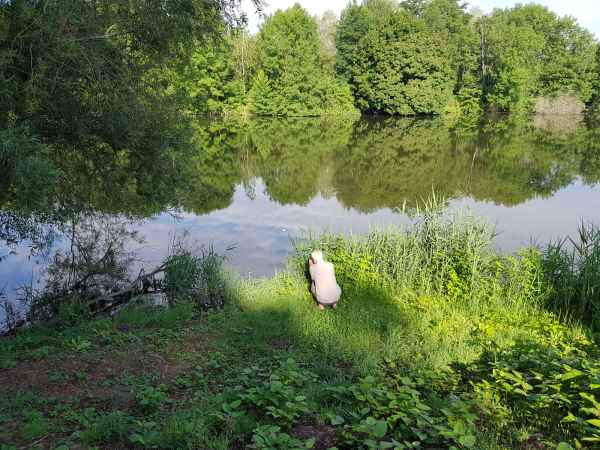 2017 07 14 europe 2017 alpine millery motorhome post ccc tour 076 jpg