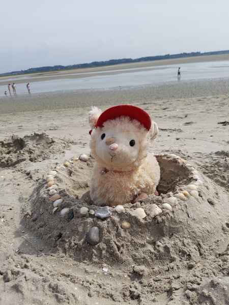 2017 07 17 estersheep europe 2017 alpine lecrotoy motorhome post ccc tour 100 jpg