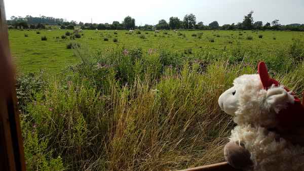 2017 07 17 estersheep europe 2017 alpine lecrotoy motorhome post ccc tour 109 jpg