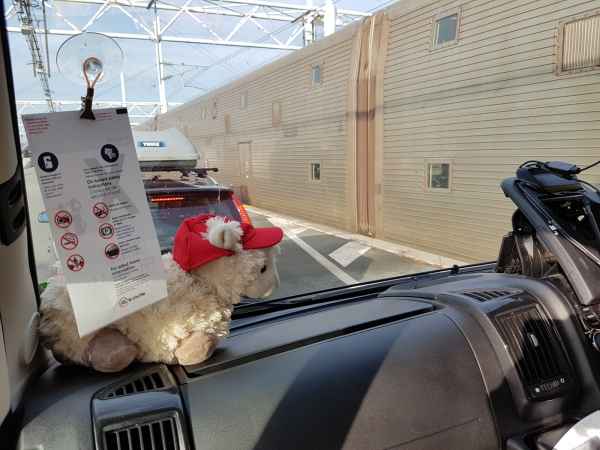 2017 07 19 coquelles estersheep europe 2017 alpine motorhome post ccc tour 131 jpg