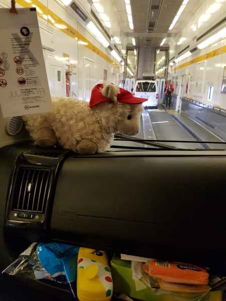 2017 07 19 coquelles estersheep europe 2017 alpine motorhome post ccc tour 133 jpg