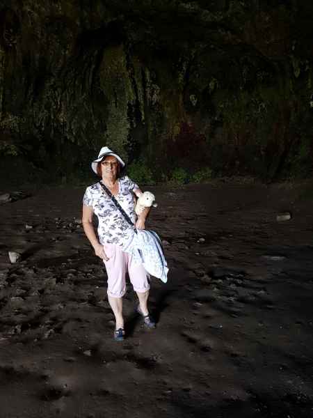 2018 05 22 denise sykes estersheep ireland 2018 pembroke precccireland 035 jpg