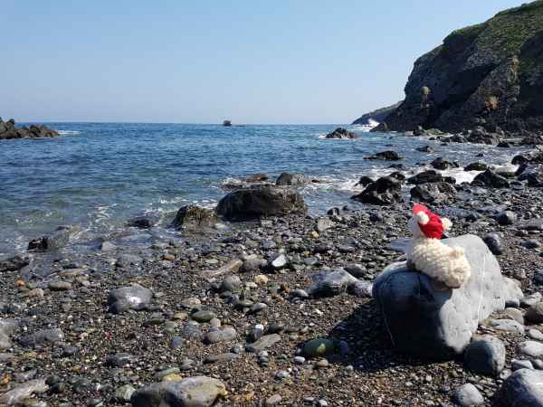 2018 05 23 estersheep freshwater east ireland 2018 precccireland 080 jpg