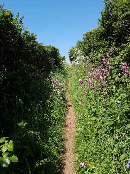 2018 05 23 freshwater east ireland 2018 precccireland 060 jpg