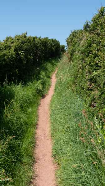 2018 05 23 freshwater east ireland 2018 precccireland walking 063 jpg