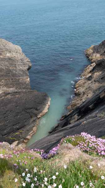 2018 05 26 ireland 2018 precccireland st davids walking 059 jpg