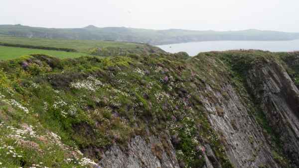 2018 05 26 ireland 2018 precccireland st davids walking 064 jpg