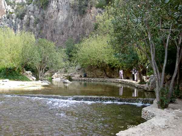 2003 03 06 benidorm benidorm 2003 hotel gan bali 033 jpg