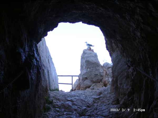 2003 03 09 benidorm benidorm 2003 hotel gan bali 069 jpg