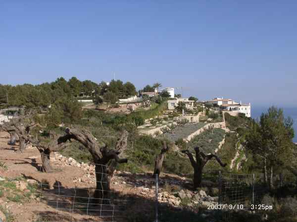 2003 03 10 benidorm benidorm 2003 hotel gan bali 085 jpg