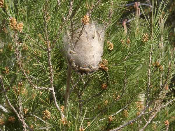 2003 03 10 benidorm benidorm 2003 hotel gan bali 086 jpg