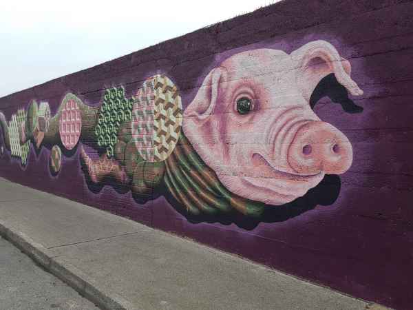 2018 05 27 ireland 2018 precccireland waterford 028 jpg