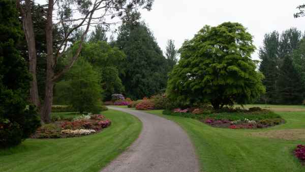 2018 05 31 blarney castles ireland 2018 irelandccctour 056 jpg