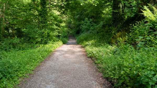 2018 05 31 blarney castles ireland 2018 irelandccctour 065 jpg
