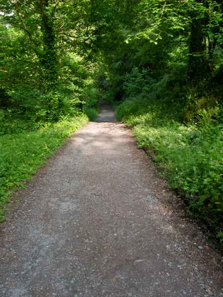 2018 05 31 blarney castles ireland 2018 irelandccctour 066 jpg