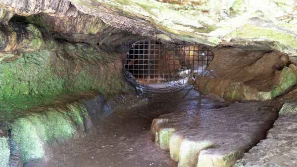 2018 05 31 blarney castles ireland 2018 irelandccctour 068 jpg