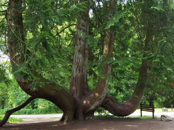 2018 05 31 blarney ireland 2018 irelandccctour 061 jpg