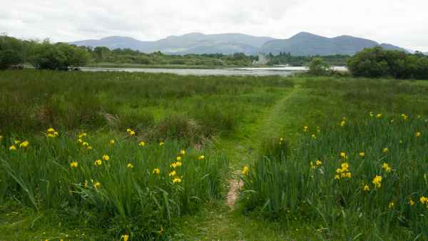 2018 06 03 ireland 2018 irelandccctour killarny 181 jpg