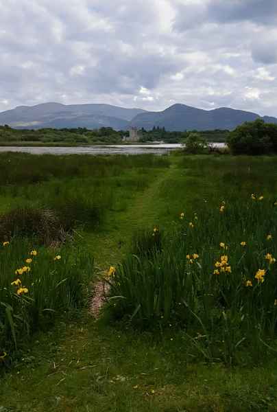 2018 06 03 ireland 2018 irelandccctour killarny 182 jpg