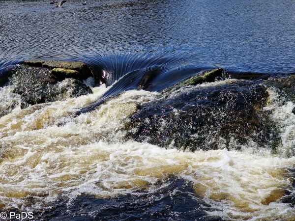 2022 08 08 dumfries scot 2022 003 2