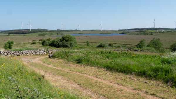 2018 06 07 cnocsuain spiddal ireland 2018 irelandccctour 078 jpg
