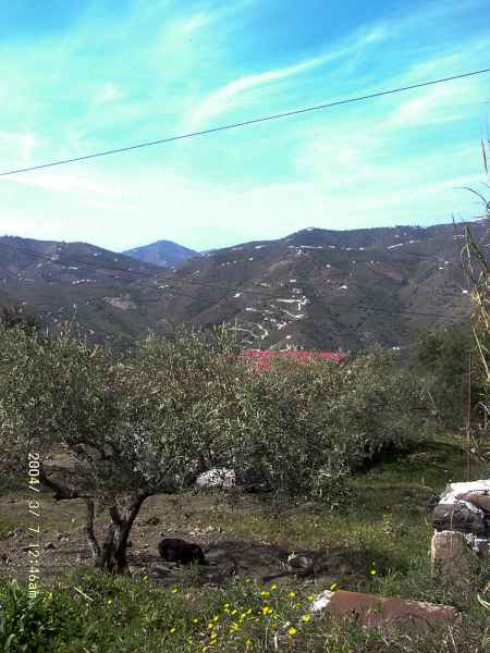 2004 03 07 nerja nerja2004 047 jpg