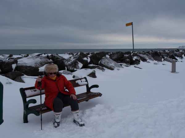 2020 02 29 alftanes denise sykes iceland 2020 029 jpg