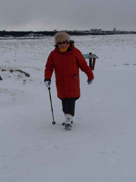 2020 02 29 alftanes denise sykes iceland 2020 039 jpg