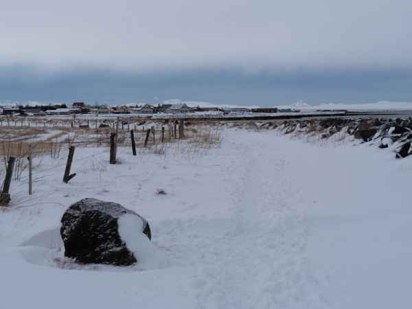 2020 02 29 alftanes iceland 2020 030 jpg